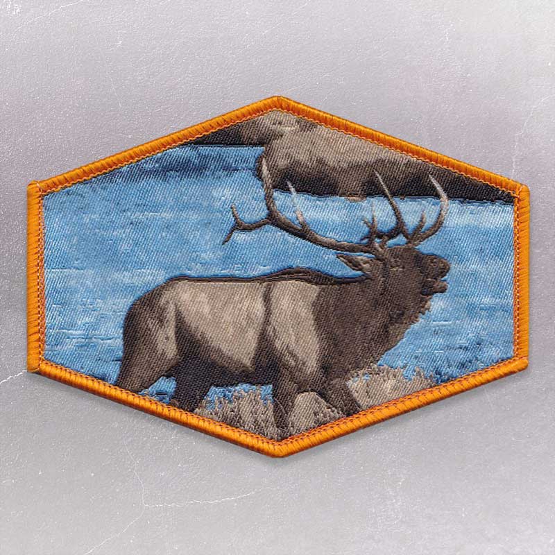 Woven patch with photographic realism example